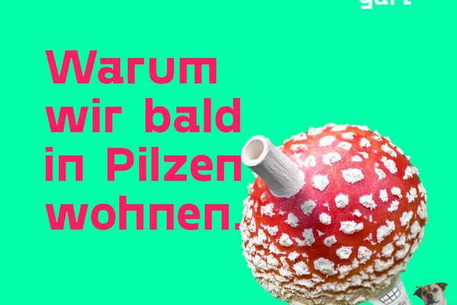 Kampagnen-Motiv Pilzhaus mit Hund 2024