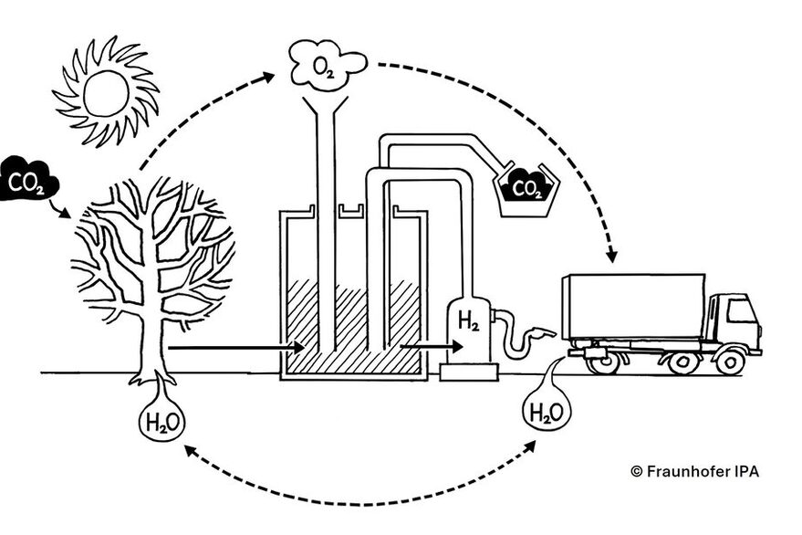 Idee der „Herstellung“ von negativen Emissionen und Wasserstoff aus biogenen Reststoffen - der Baum. Grafik in schwarz-weiß